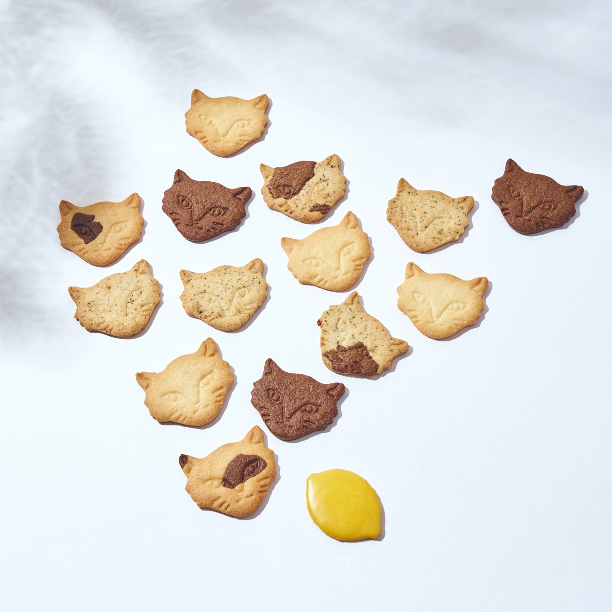 【期間限定】Summer Miracle Cat Cookie Tin (神様のいたずらサマーネコクッキー缶)