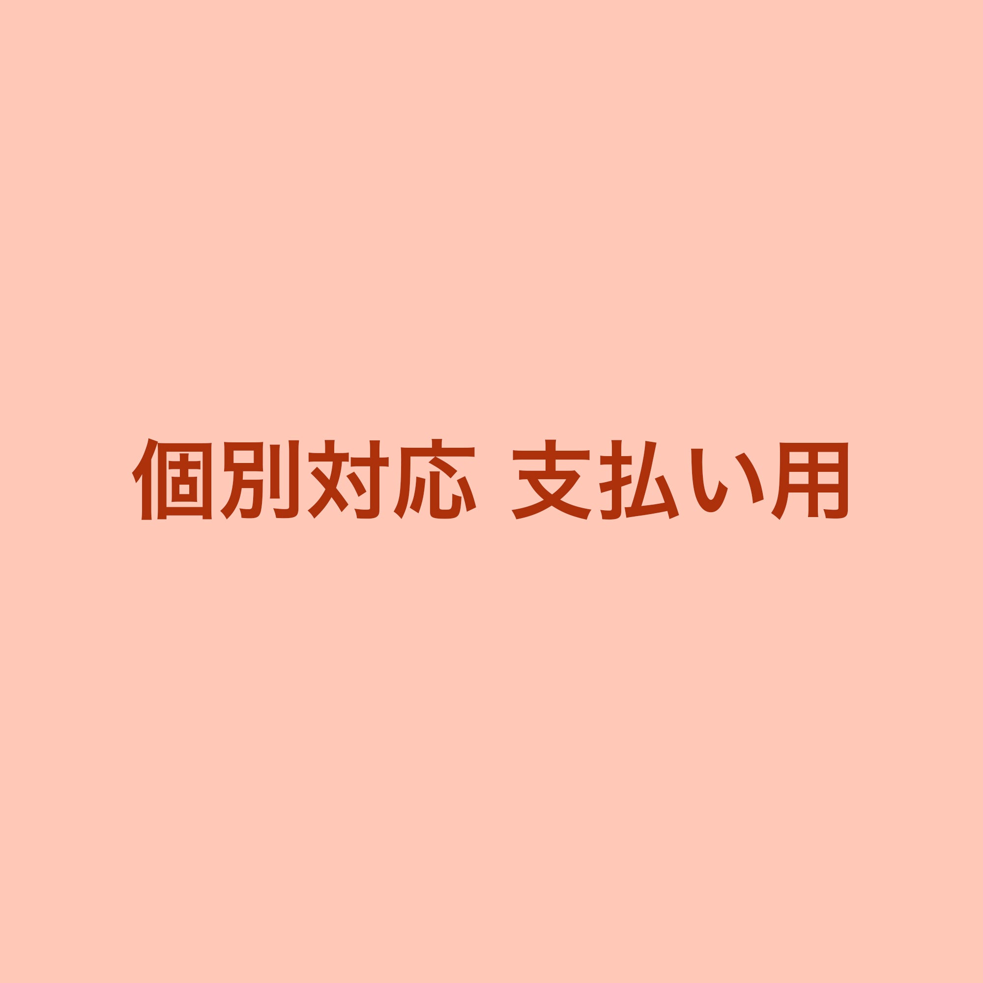 個別対応注文 支払い用