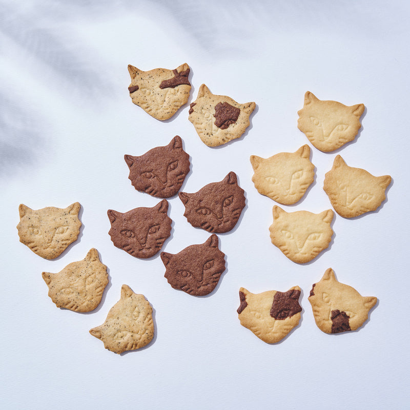 Miracle Cat Cookie Tin (神様のいたずらネコクッキー缶)