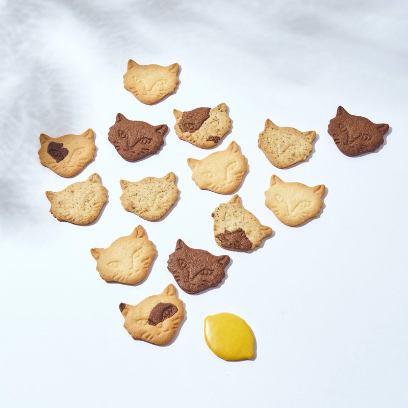 【期間限定】Summer Miracle Cat Cookie Tin (神様のいたずらサマーネコクッキー缶)