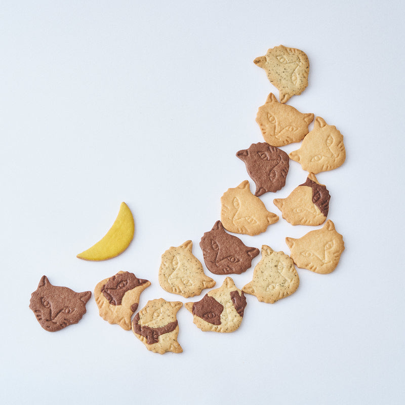 9/1発売【期間限定】Trick Miracle Cat Cookie Tin (神様のいたずらトリックネコクッキー缶)