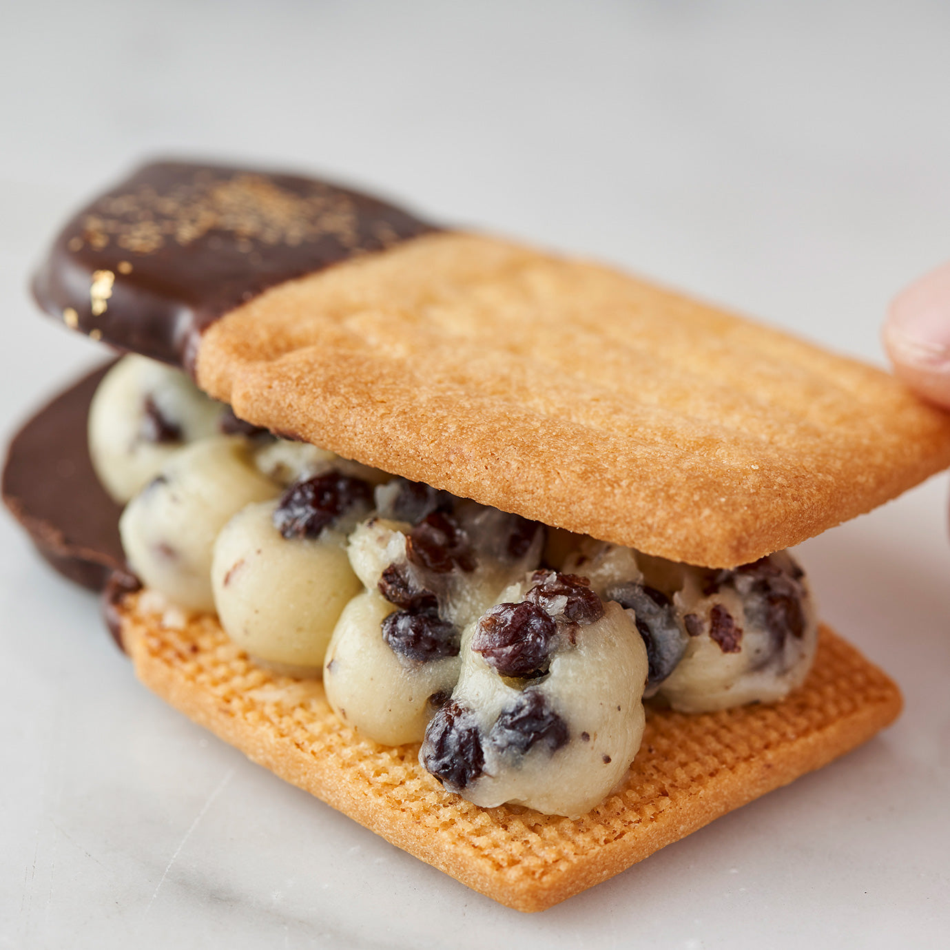 【期間限定】フェアリークリームウィッチ 生バターサンド レーズン＆チョコミント2種セット ギフト箱