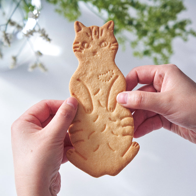 LetterBOX cat cookie ネコクッキーレターボックス　For you!オリジナルカード付き